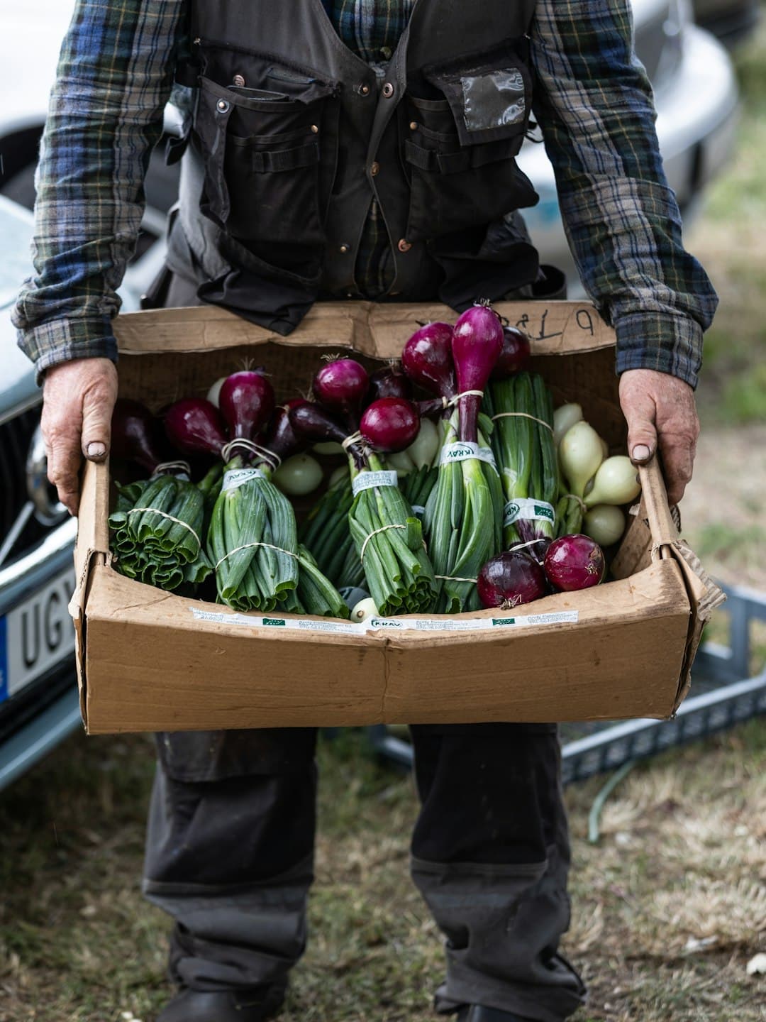 صندوق خضروات موسمية من المزرعة